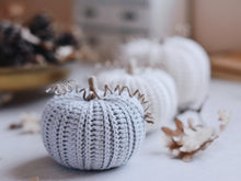 Load image into Gallery viewer, Patrón de ganchillo, Tres Calabazas Rústicas, PDF Patrón en ESPANOL - Firefly Crochet