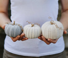 Load image into Gallery viewer, Patrón de ganchillo, Tres Calabazas Rústicas, PDF Patrón en ESPANOL - Firefly Crochet