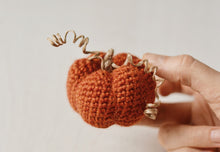 Load image into Gallery viewer, Hedgehog Hook Holder and Pumpkin Pincushion Crochet Pattern - Firefly Crochet