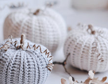 Load image into Gallery viewer, Crochet Pattern for Three Rustic Pumpkins - Firefly Crochet