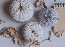 Load image into Gallery viewer, Crochet Pattern for Three Rustic Pumpkins - Firefly Crochet