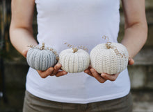 Load image into Gallery viewer, Crochet Pattern for Three Rustic Pumpkins - Firefly Crochet
