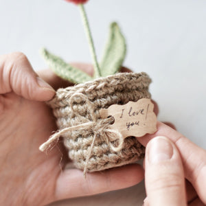 Valentine’s Day Red Heart Plant in a Pot Crochet Pattern - Firefly Crochet