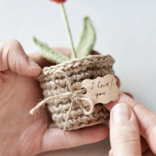 Load image into Gallery viewer, Planta de Corazón Rojo en Maceta, ESPANOL - Firefly Crochet
