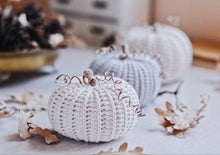 Load image into Gallery viewer, Crochet Pattern for Three Rustic Pumpkins - Firefly Crochet
